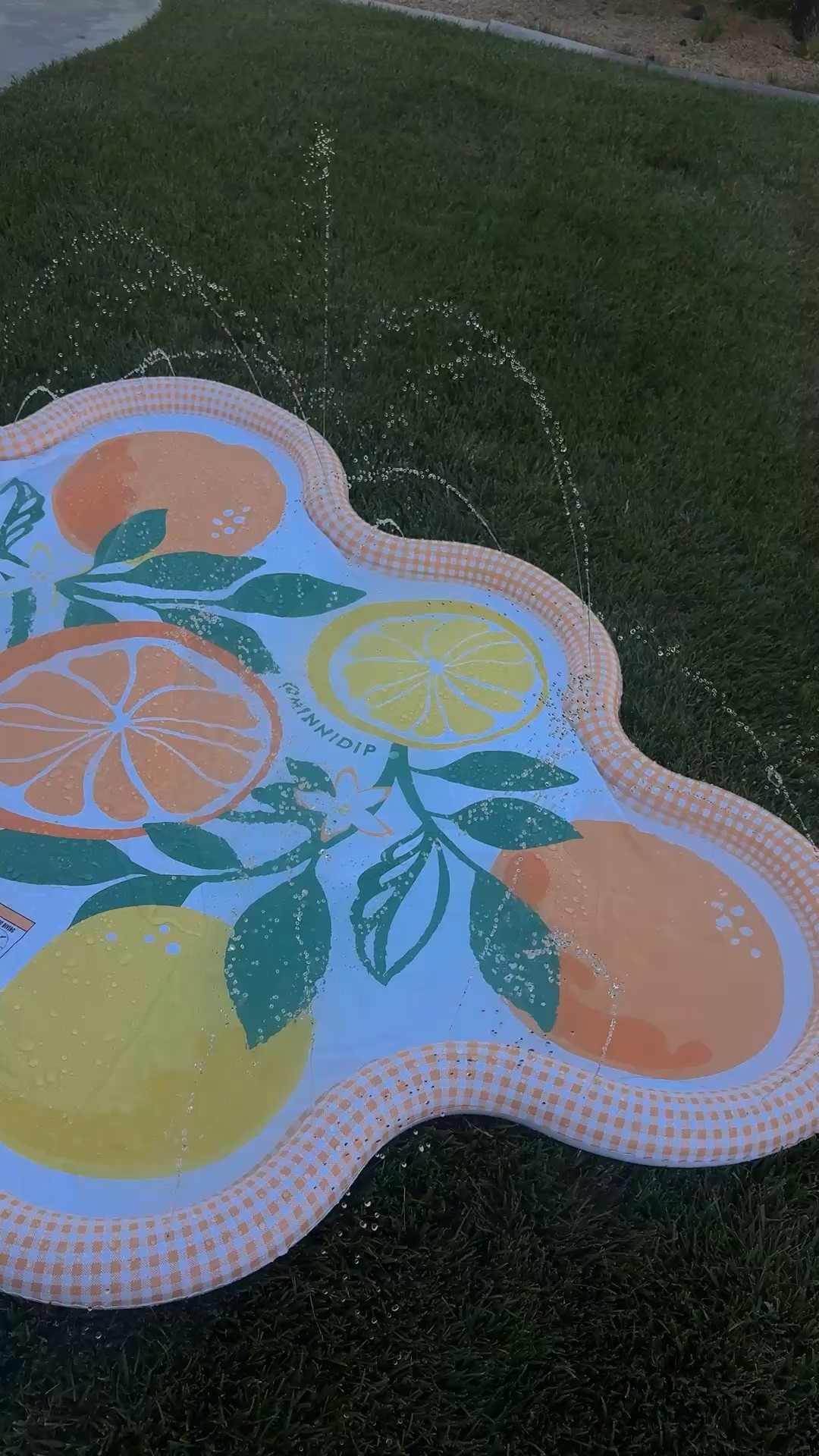 citrus gingham splash pad 🍊🍋
summer must haves for kids

#LTKmomlife #LTKSwim #LTKKids