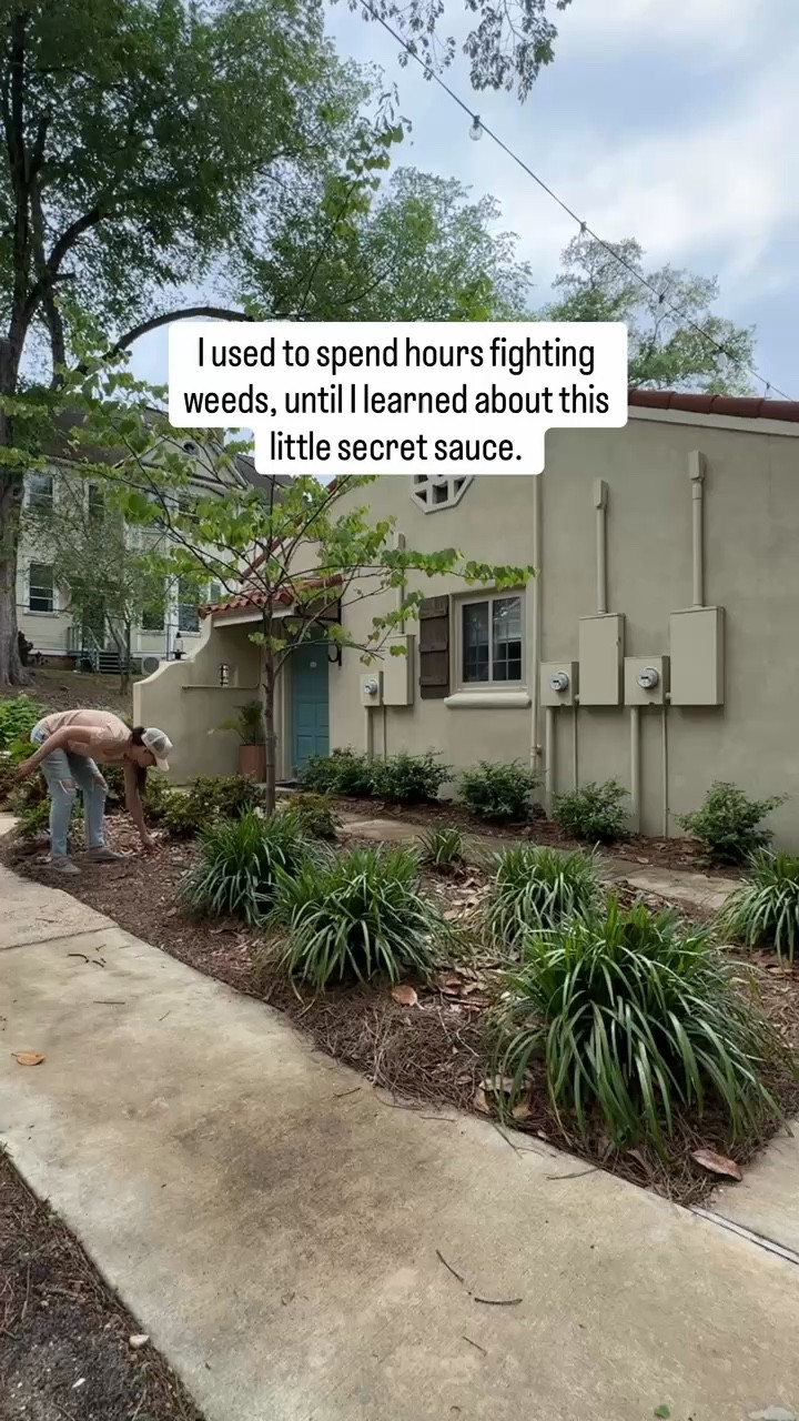 Say goodbye to weeds and hello to a fresh, clean yard!
-
-
-

garden, backyard, lawn care, weed control, spring, amazon finds, outdoor, home

#LTKSeasonal #LTKHome