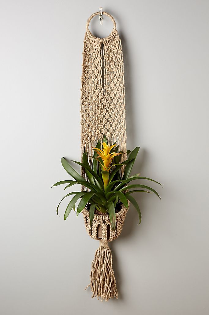 Macrame Hanging Planter | Anthropologie (US)