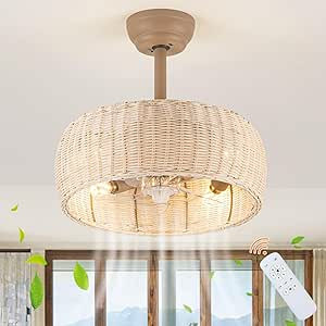 Rattan Ceiling Fan Lighting with Remote Control, Boho Caged Ceiling Fan Light Fixture with Revers... | Amazon (US)