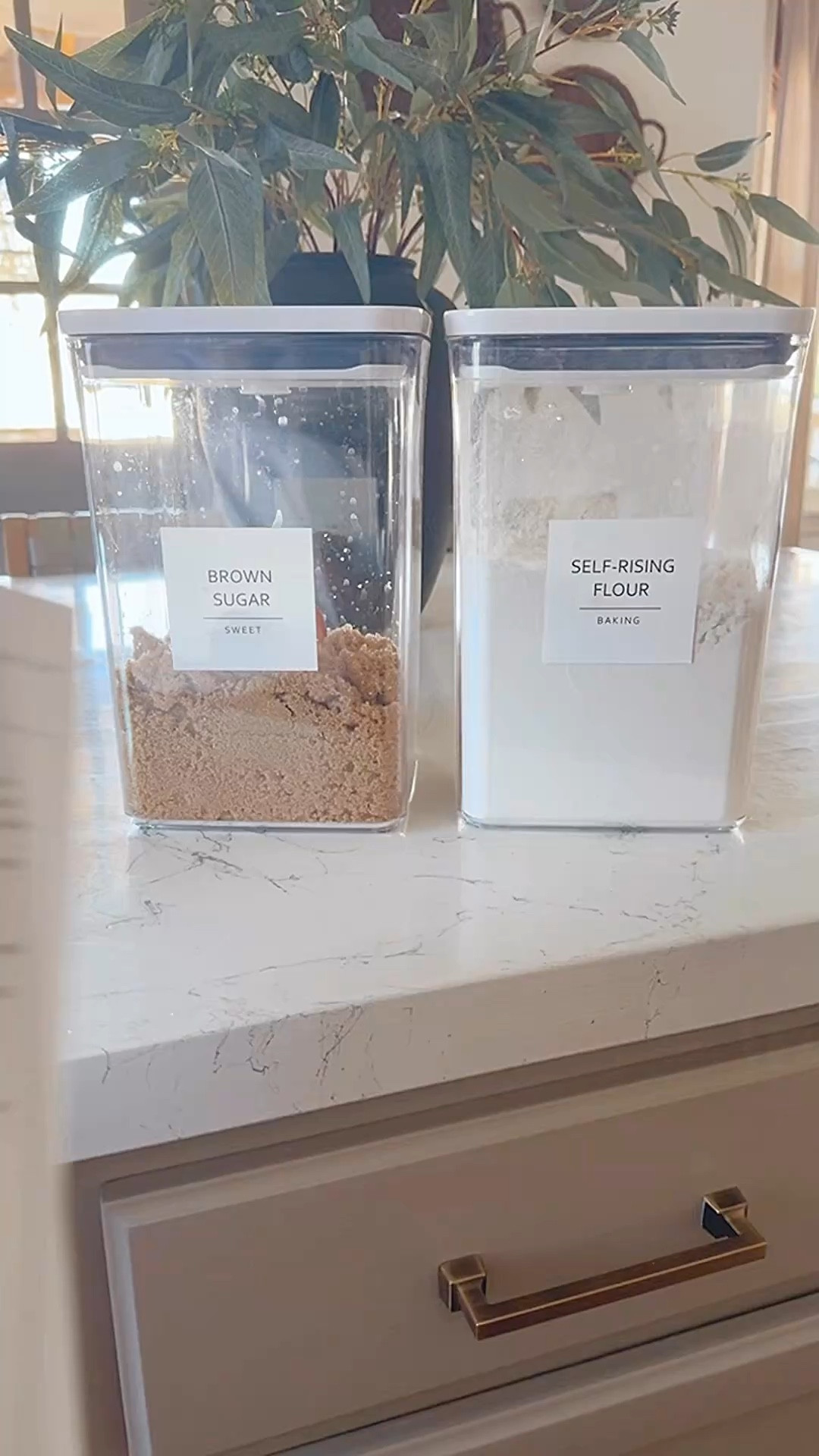 Pantry organization 
I love these containers with the pop top lids to keep items fresher longer 

Labels to keep everything organized 

And Added in a brown sugar saver to keep it softer for longer 

#LTKFindsUnder50 #LTKStyleTip #LTKHome