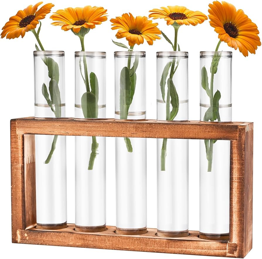 Desktop Glass Plant Propagation Station with 5 Test Tubes in Wooden Stand - Hydroponic Plants Cut... | Amazon (US)