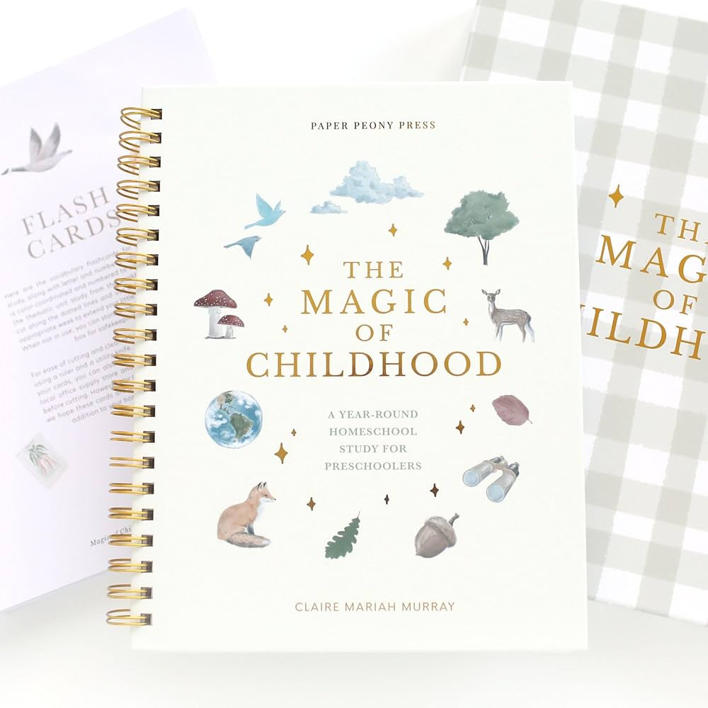 The Magic of Childhood: A 52 Week Christian Homeschool Curriculum for Preschoolers | Weekly Units... | Amazon (US)