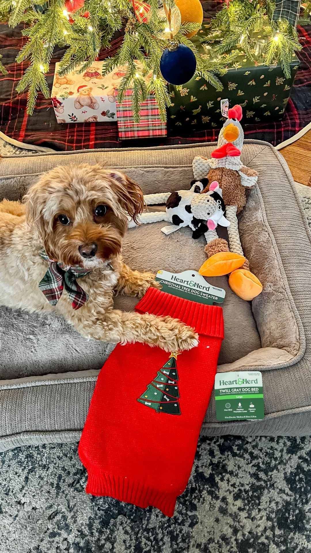 If your pup is on the nice list this year, Winnie’s got a few favorites she insists you check out. 🐶🎄✨ #ad #LowesPartner @loweshomeimprovement
We stopped by Lowe’s and found the sweetest Heart & Herd goodies and the Black Friday deals are too good to pass up! Her plush gray bolster bed is $10 off, the holiday sweaters are $3 off, and those adorable farm-animal toys she can’t stop playing with are 50% off.
If you’re wanting to spoil your fur baby (without blowing your holiday budget), these finds are such great quality and so darn cute under the tree. 🎁💚❤️ 

 #LTKCyberWeek #LTKGiftGuide #LTKHoliday