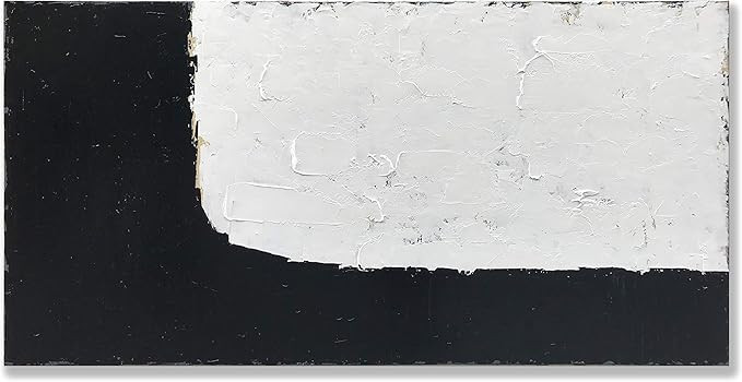 zoinart Hand painted Black and White Abstract Painting Minimalist Contemporary Art 24x48 inch Mod... | Amazon (US)
