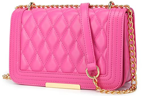 lola mae Crossbody Bags for Women Fashion Quilted Shoulder purse with Convertible Chain Strap Cla... | Amazon (US)