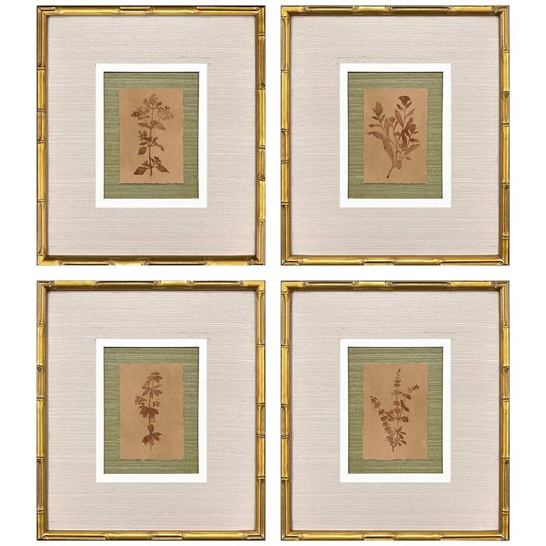 Organic Botanical II 15"W x 17"H Framed Art - Set of 4 | Lamps Plus