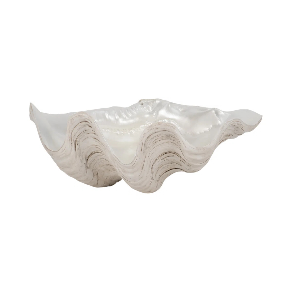 Decorative Bowl Resin Polyresin Wavy Shell Design Coastal Style for Home Office Bedroom Living Ro... | Wayfair North America