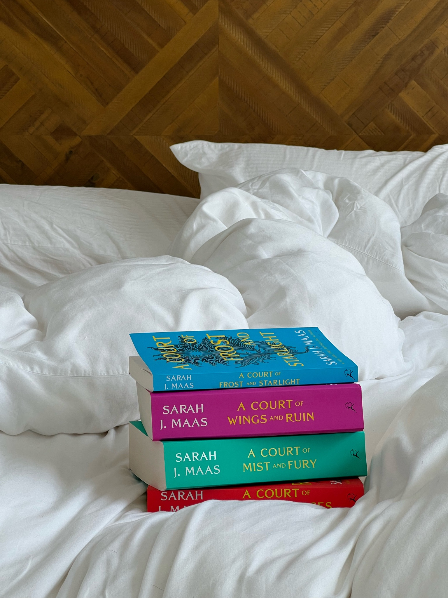 A court of thorns and roses book set by Sarah j Maas. Booktok. Fantasy romance

#LTKHome #LTKSaleAlert