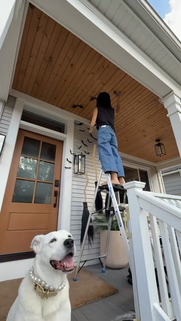 How I placed our bats on the front porch 🦇 

#LTKSeasonal #LTKHome #LTKHalloween