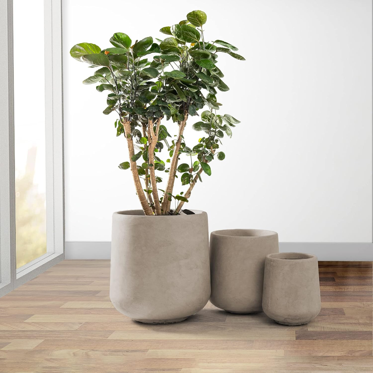 Kante 15.3"+11.6"+8.2" Dia Round Concrete Planter,Large Planter Pots Containers with Drainage Hol... | Amazon (US)