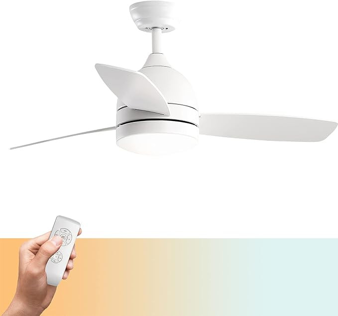 warmiplanet Ceiling Fan with Lights Remote Control, 48-Inch, Black, Silent Motor (3-Blades) | Amazon (US)