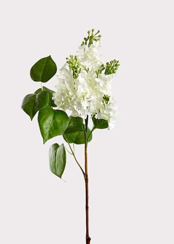 Artificial Blooming Lilac Branch in White - 26" | Amazon (US)