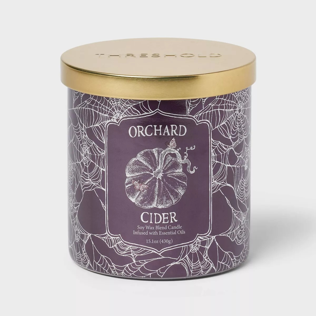 2-Wick 15.1oz Lidded Glass Orchard Cider Jar Candle - Threshold™ | Target