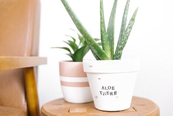 Aloe There Pot Aloe Plant Pun Aloe Puns Plant Pun | Etsy | Etsy (US)