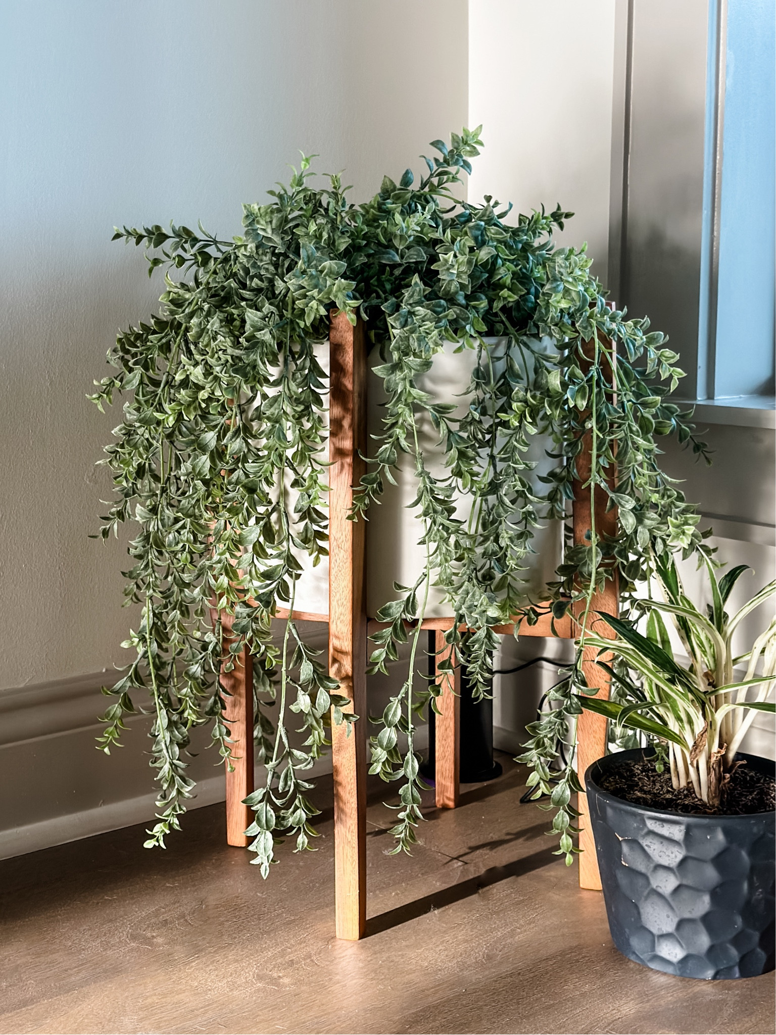 Get your home spring ready with a mixture of real & faux plants. A few plants with nice planters will do so much for a space  

#LTKFind #LTKSeasonal #LTKhome