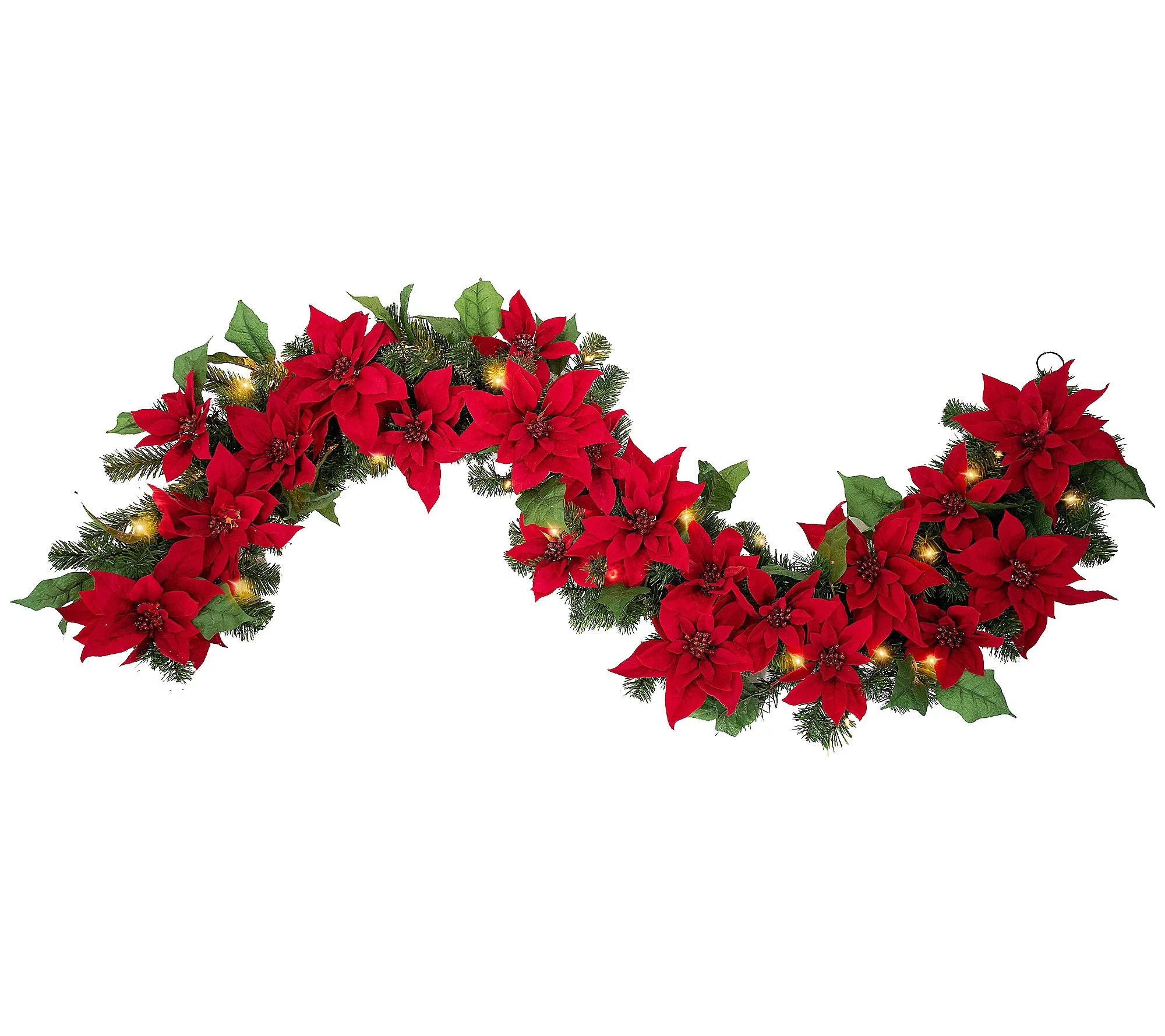 Haute Decor Poinsettia 6' Pre-Lit Indoor/Outdo or Garland | QVC