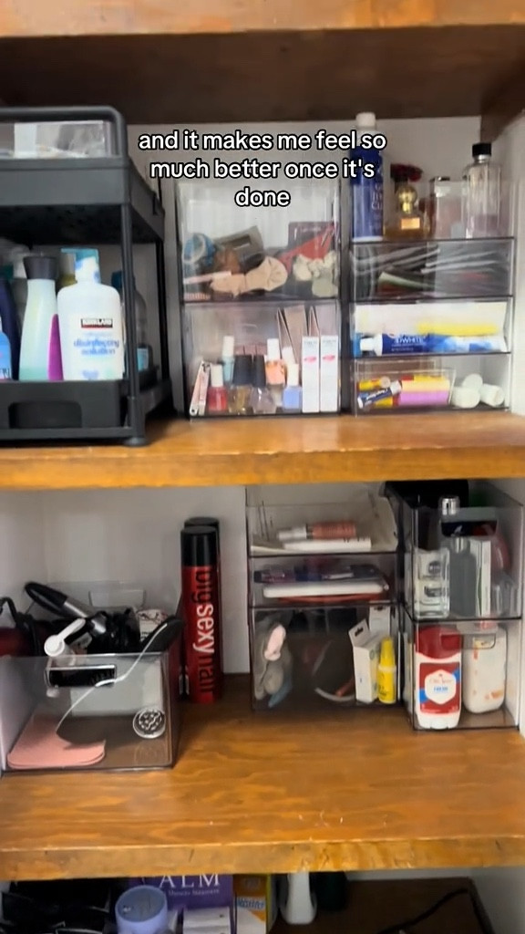 These bins from Target have helped me so much with organizing our bathroom shelves  

#LTKHome #LTKFindsUnder50