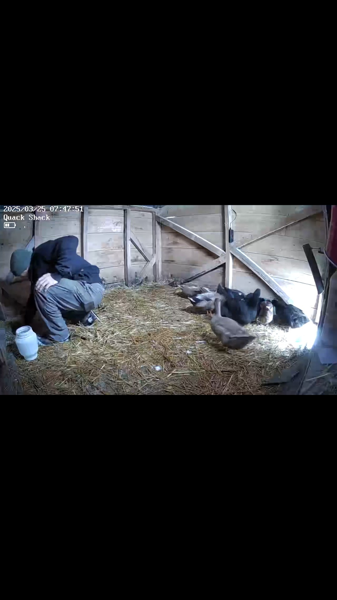 Love this security camera to keep an eye on the ducks! 

#LTKWatchNow #LTKFindsUnder50 #LTKPets