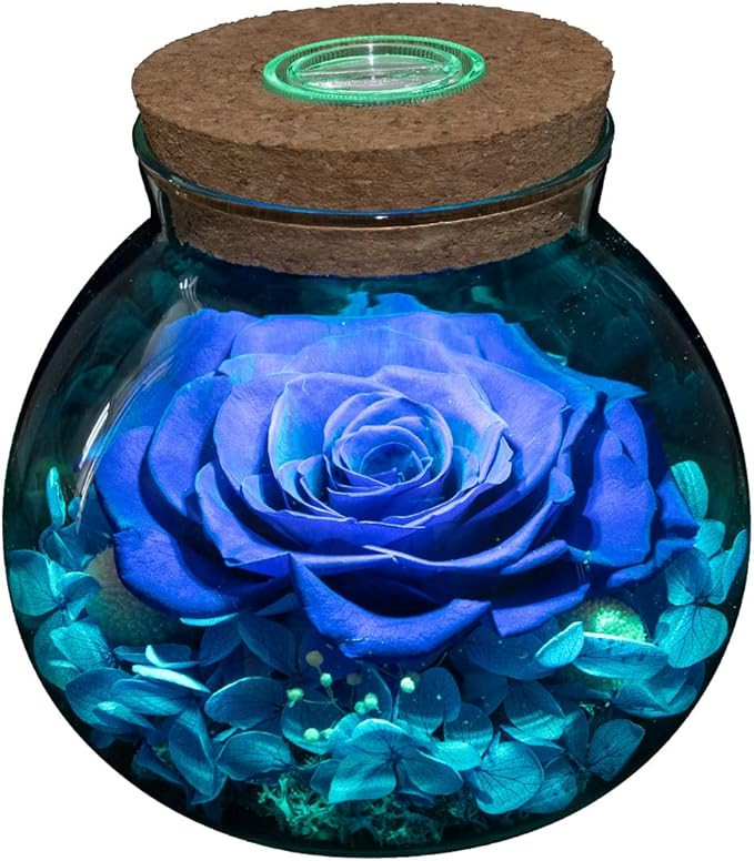 Preserved Real Roses with Colorful Mood Light Wishing Bottle,Eternal Rose，Never Withered Flower... | Amazon (US)