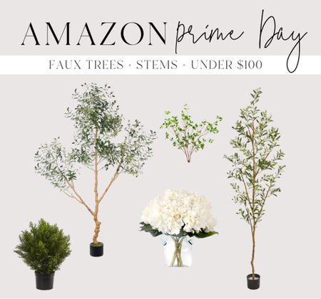 Amazon prime day, prime day, Amazon, prime day sales, Amazon prime day home, prime Day home, prime Day home finds, faux trees, olive tree, Amazon olive tree, Amazon faux trees, stems, Amazon trees, LTKxPrimeDay

#LTKsalealert #LTKxPrimeDay #LTKhome