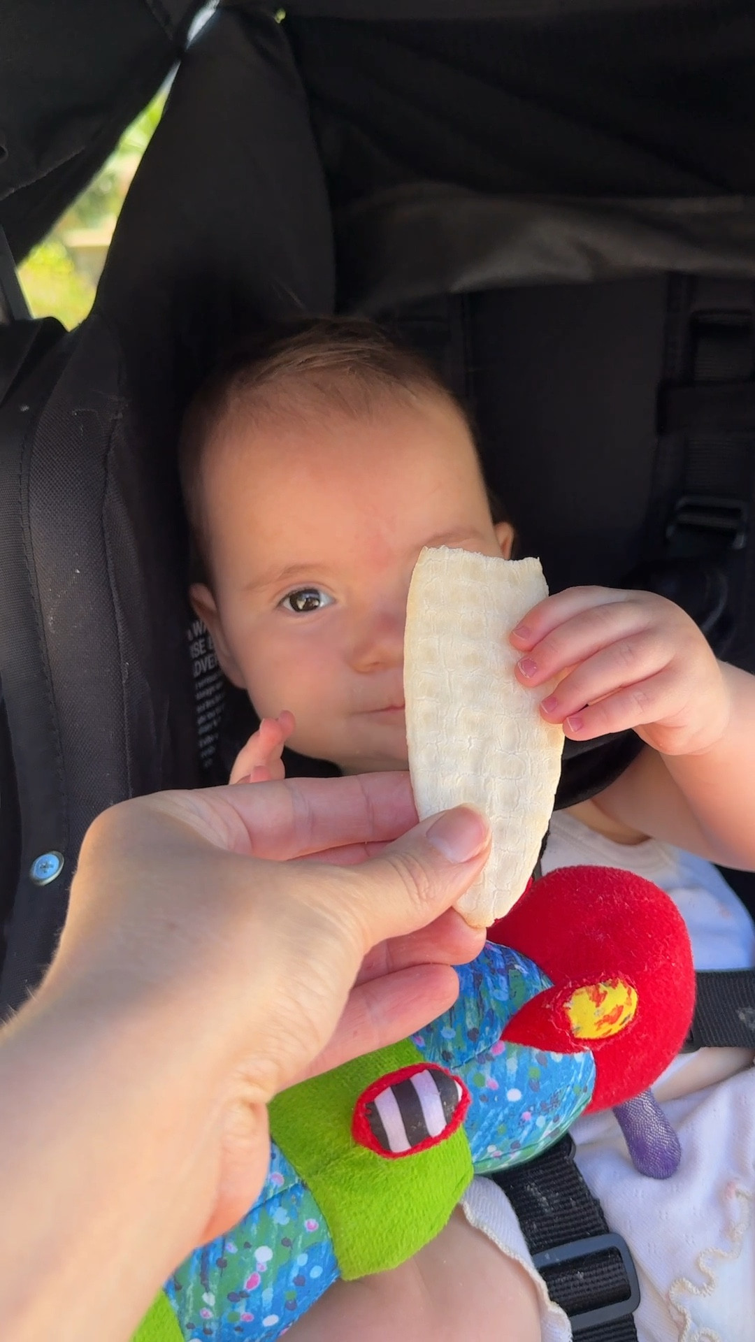 Teething snacks that keep my baby girl occupied on our walks. Great tip if your baby doesn’t love stroller rides 