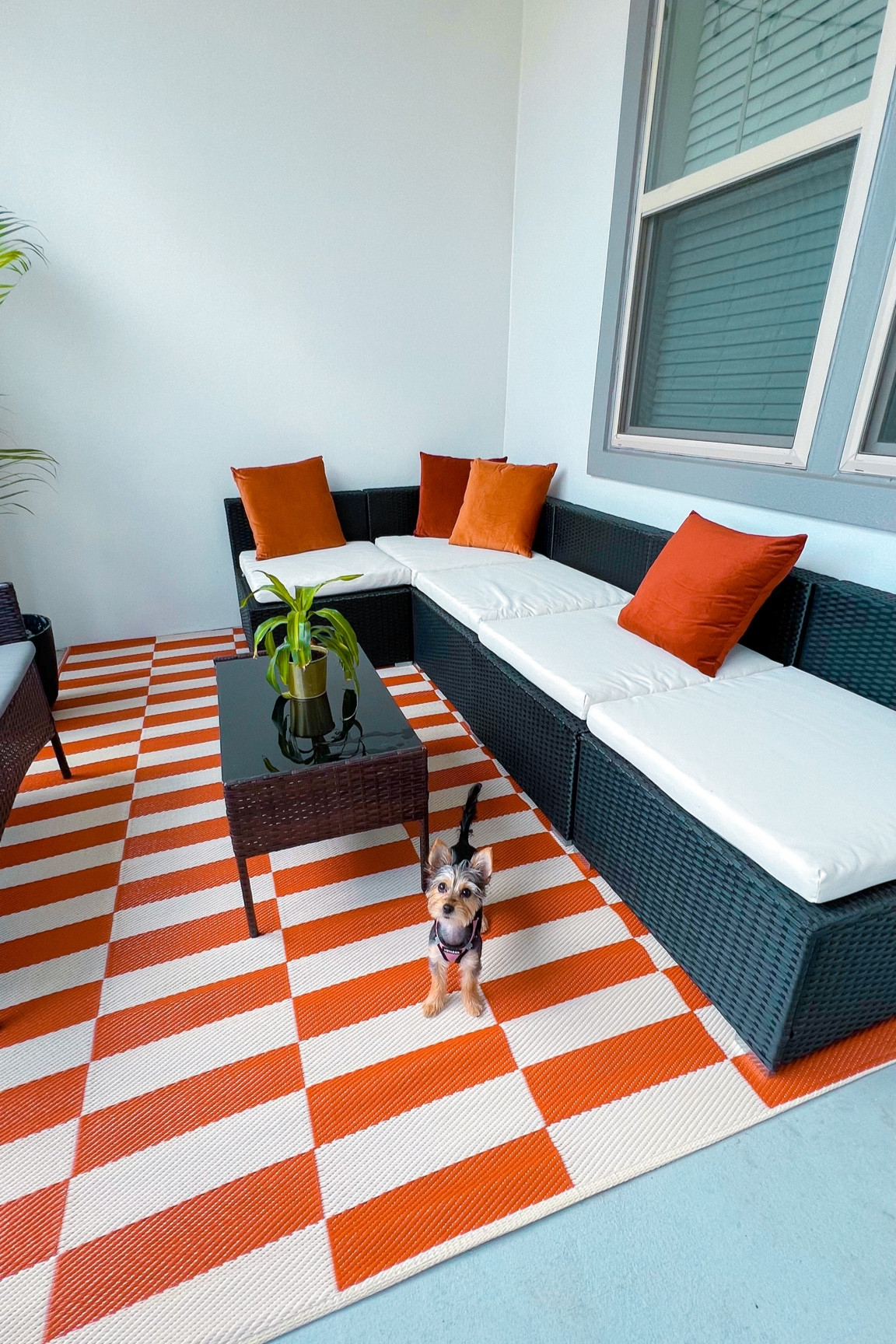 New outdoor rug! 

#LTKhome #LTKSeasonal #LTKfamily