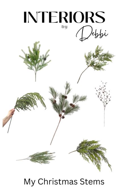 My Pine Stems
Norfolk pine stems, pinecone stems, white pine stems, cedar stems
#founditonamazon #michaelsstores

#LTKeurope #LTKHoliday #LTKSeasonal