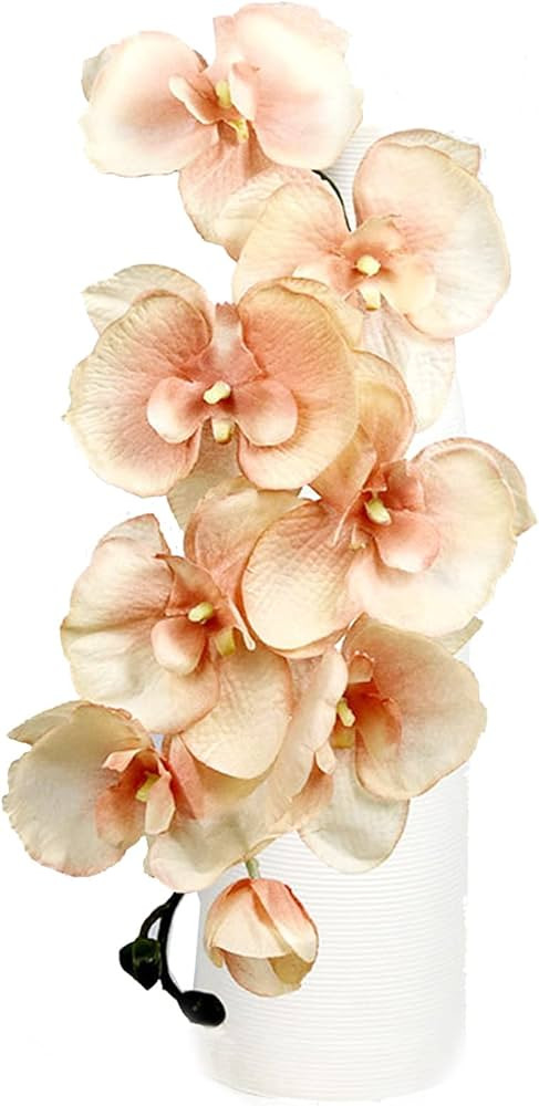 4 Pcs Silk Artificial Orchid Flowers Stem, 8 Heads Faux Phalaenopsis Flowers Branches 27.5'' Arti... | Amazon (US)