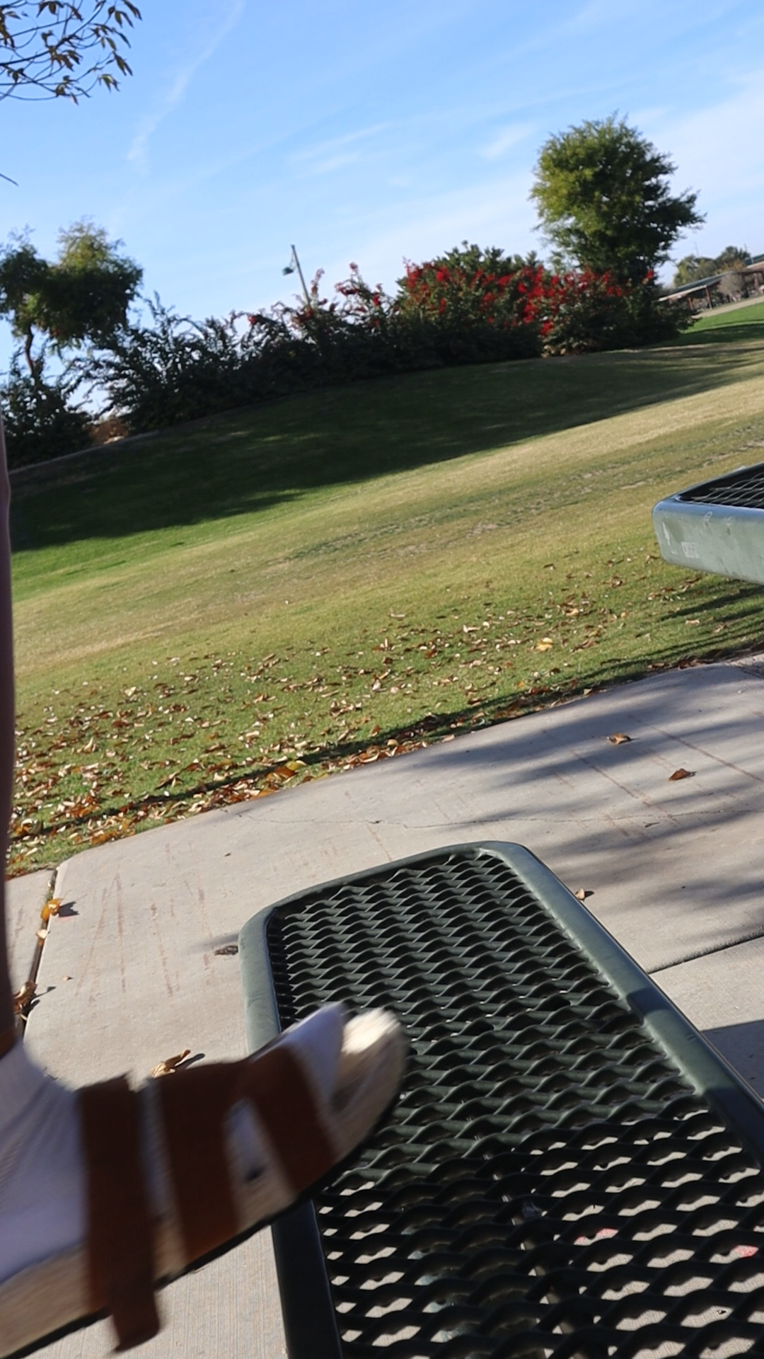 Kicking off year 28 with walks, prayer, and new shoes! 🌿✨
Enjoying a serene park stroll for journaling and reflection time 🧘🏾‍♀️✨
These @lookyno_shoes slippers are my go-to for style, comfort, and versatility.
From cozy mornings at home to casual outdoor walks, they’ve got me covered! 💕

🌟 Why I love them:
	•	Stylish & Classic Design: Perfectly pairs with any outfit.
	•	Perfect Fit & Slip-On: Adjustable for all foot shapes.
	•	Fuzzy & Arch Support: Plush comfort with every step.
	•	Anti-Slip EVA Outsole: Reliable grip on any surface.

💌 Use my code 4NRW4RLW for 5% off and treat your feet to ultimate comfort and style!

#lookyno #slippers #stylishcomfort #ootd #parkdayvibes