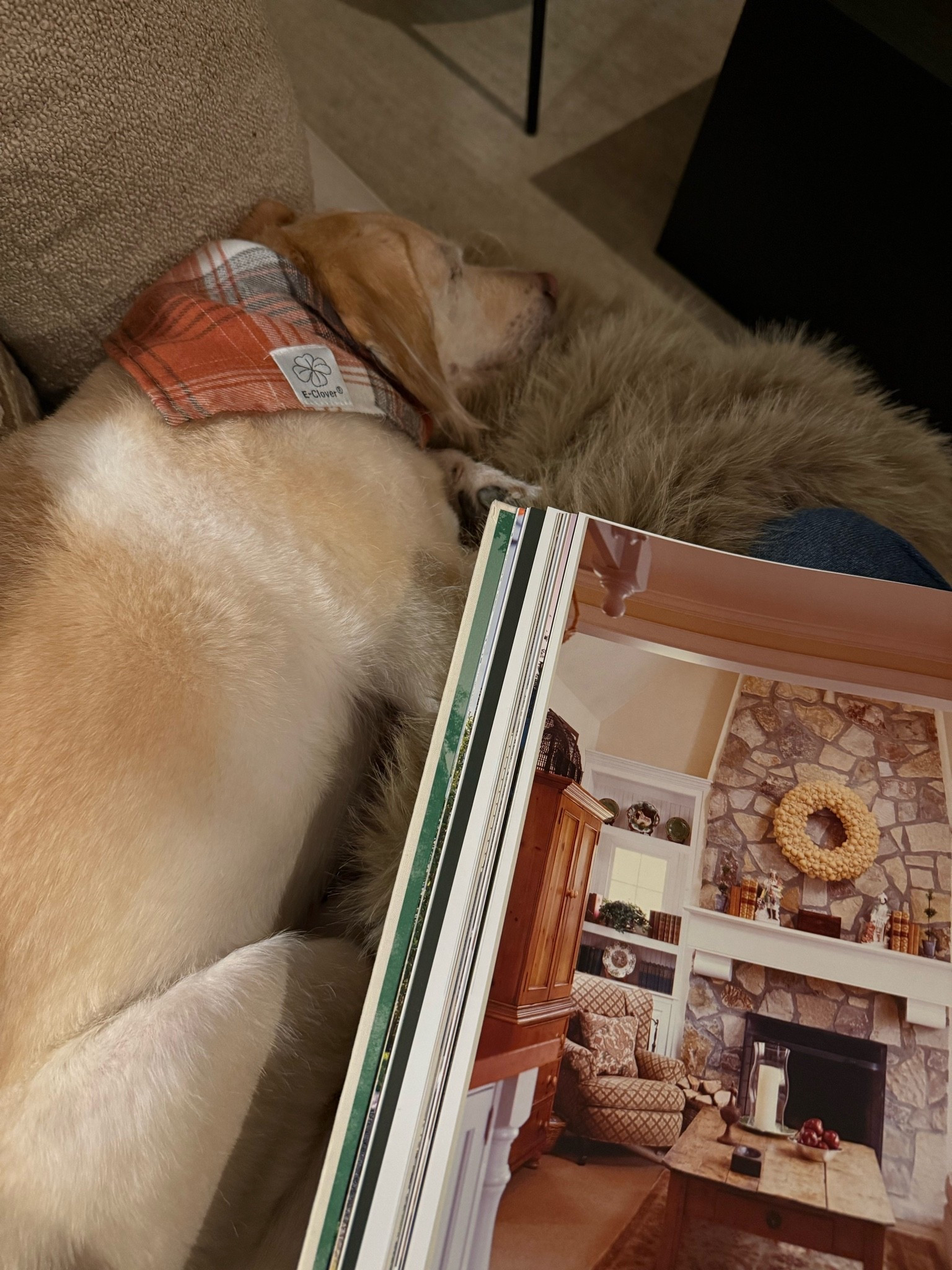 The moments I dreamed of… (this book is one of my absolute all time faves!)

#LTKdayinmylife #LTKmomlife #LTKHome