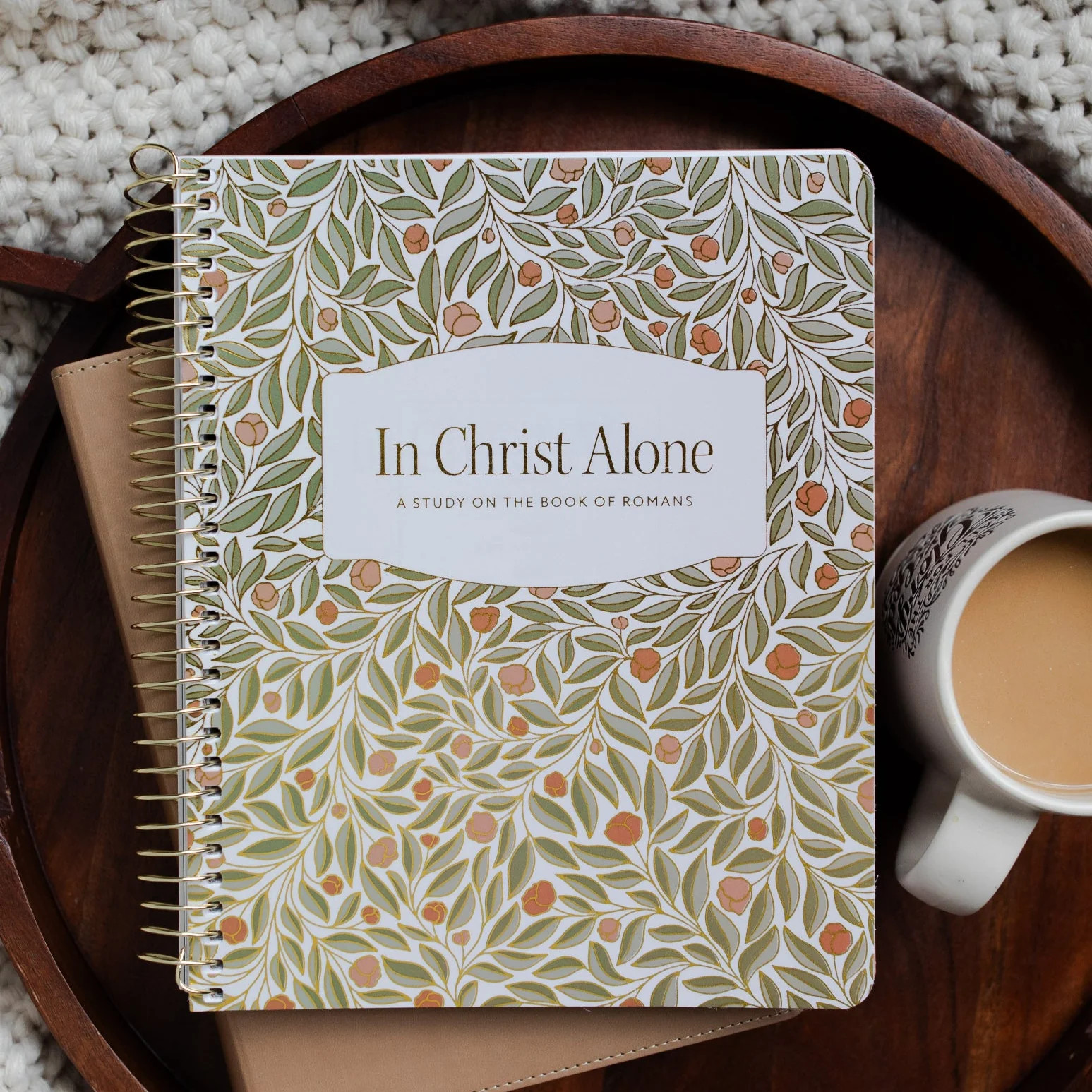 In Christ Alone | Romans Bible Study | The Daily Grace Co.