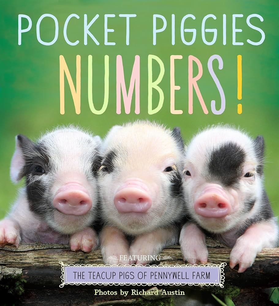 Pocket Piggies Numbers!: Featuring the Teacup Pigs of Pennywell Farm | Amazon (CA)