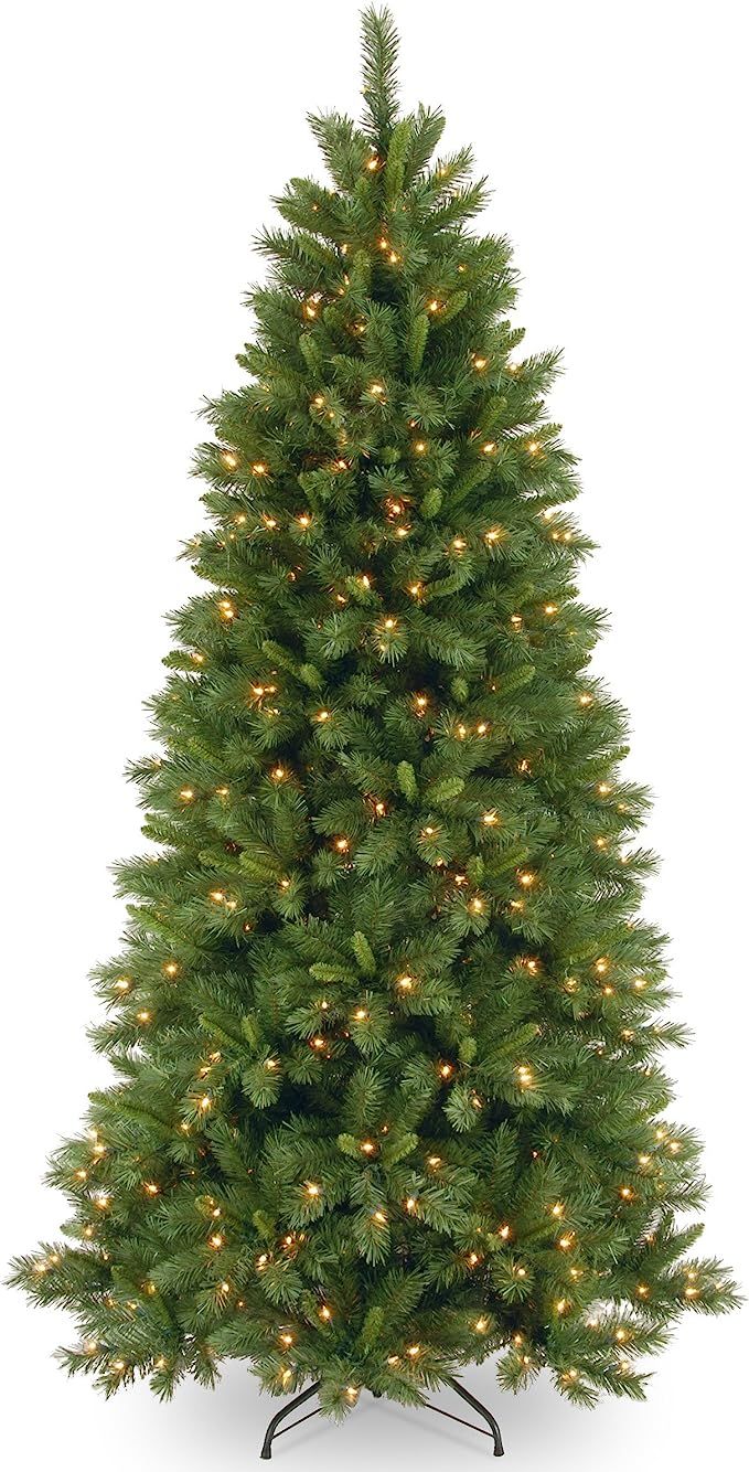 National Tree Company Pre-lit Artificial Christmas Tree | Includes Pre-strung Multi-Color LED Lig... | Amazon (US)