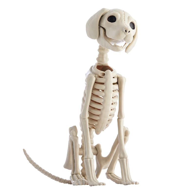Skeleton Sitting Dog








	
		
		
			
				Write a Review
			
		
	






	
	
	
		
			
				
				... | At Home