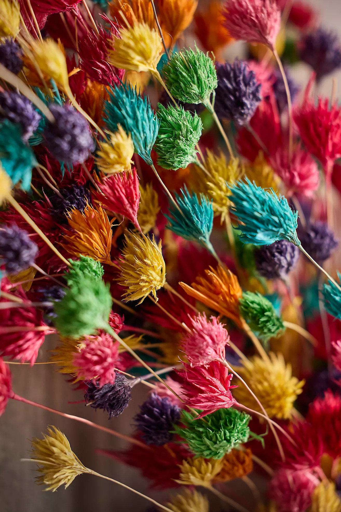 Weeping Bamboo Rainbow Wreath | Anthropologie (US)