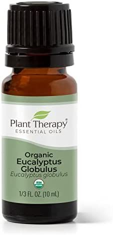 Plant Therapy Organic Eucalyptus Globulus Essential Oil 100% Pure, USDA Certified Organic, Undilu... | Amazon (US)