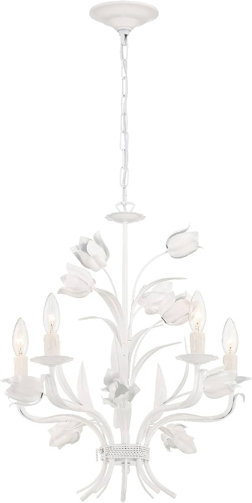 Crystorama Southport 5 Light Wet White Chandelier | Amazon (US)