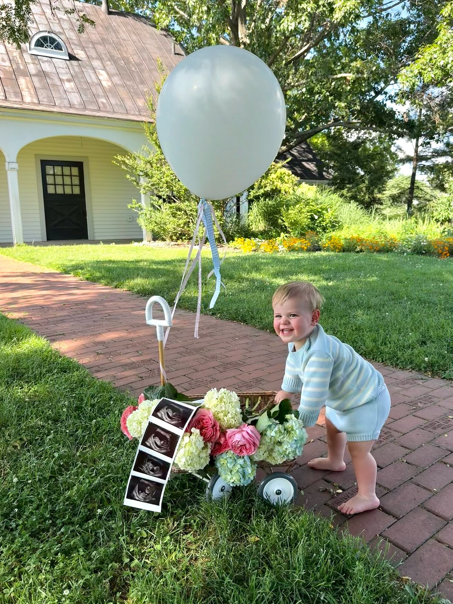 BIG BROTHER!! Georgie can’t wait to meet his best friend this November 🩷🩵 

#bigbrother #pregnancyannouncement #pregnancyannouncementideas

#LTKKids #LTKBaby #LTKFamily