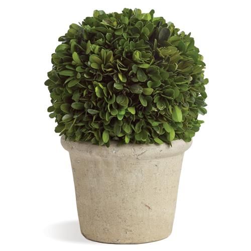 Marin French Country Preserved Potted Boxwood Sphere - Small | Kathy Kuo Home
