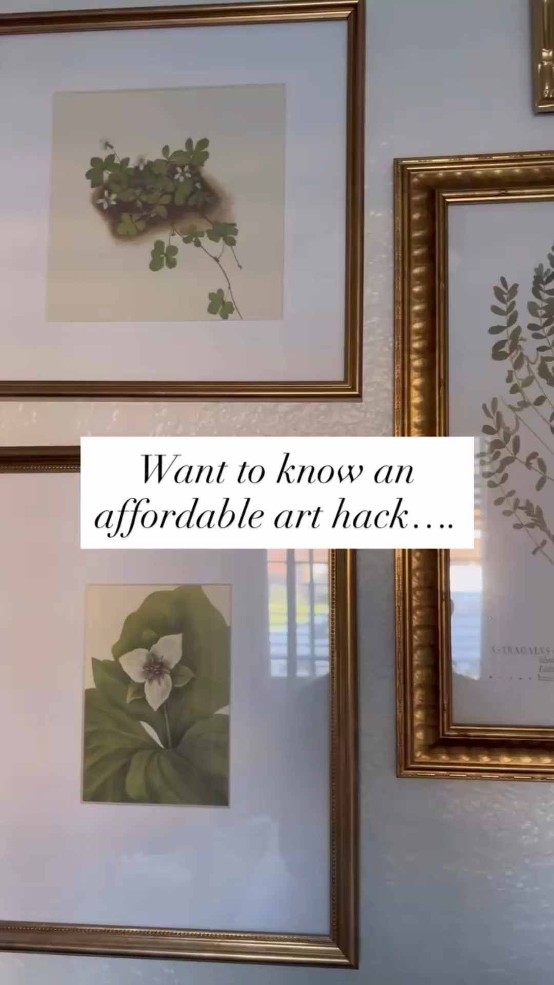 This art hack is an absolute game-changer – incredibly affordable and surprisingly simple. Botanical prints are classic, bringing a touch of elegance to your space. 

#amazon #diy #arthack 

#LTKHome #LTKSeasonal #LTKHoliday