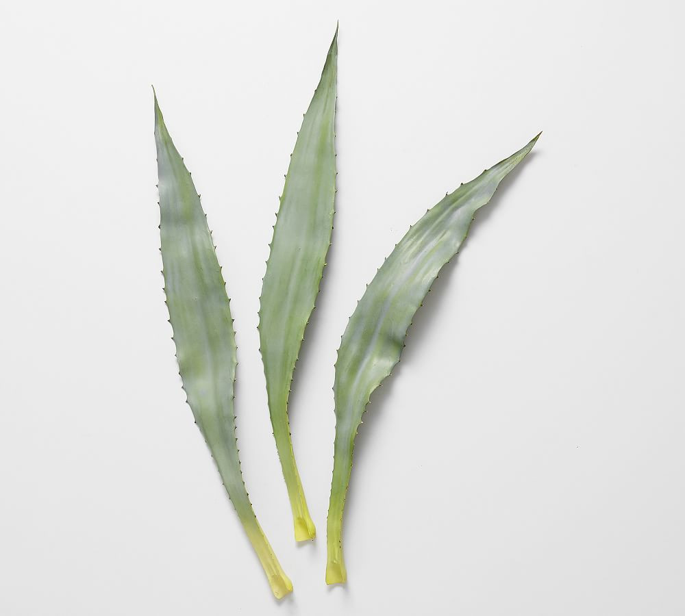 Faux Aloe Leaf | Pottery Barn (US)