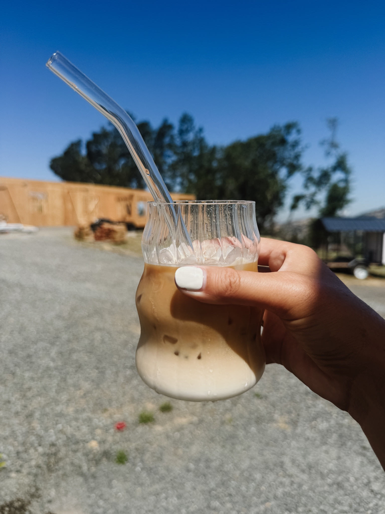 Coffee cups and glass straws 🤎 #summerstaple #coffeecups #glassstraws #icedcoffee

#LTKhome #LTKGiftGuide