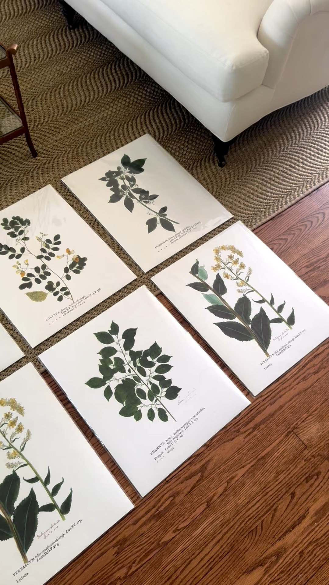 I just got this set of prints on Etsy from a small, woman-owned business. They come in lots of different styles and you can order most sizes, too. I’m going to frame them and put them in my office or sunroom.  #Etsy #EtsyCreatorCo @etsy #EtsyPartner
