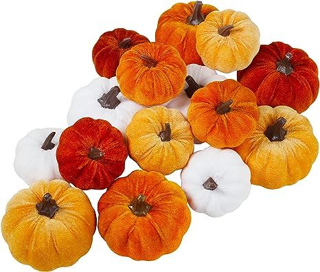 Set of 16 Assorted Faux Small Rustic Harvest Decorative Pumpkins Velvet Fabric Pumpkins Foam Pump... | Amazon (US)