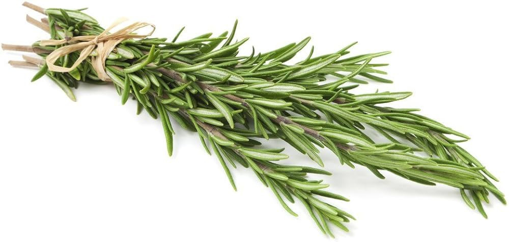 Rosemary, Locally Grown, 2 Bunches | Amazon (US)