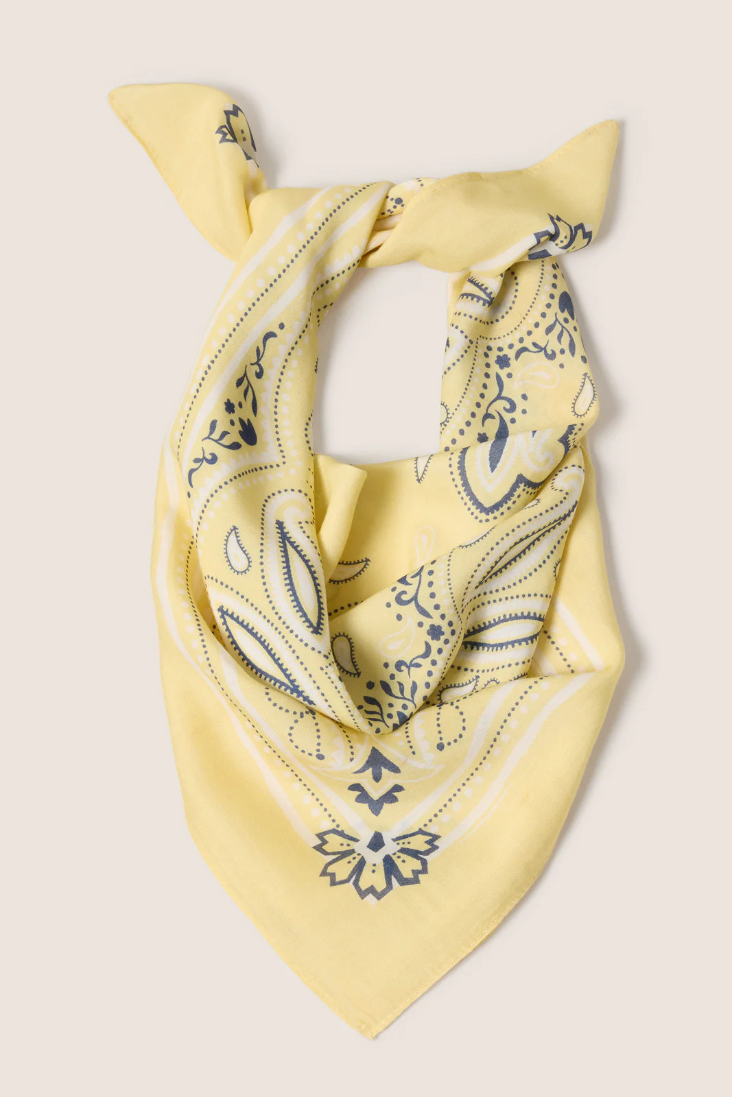 Ellie Paisley Bandana | Evereve