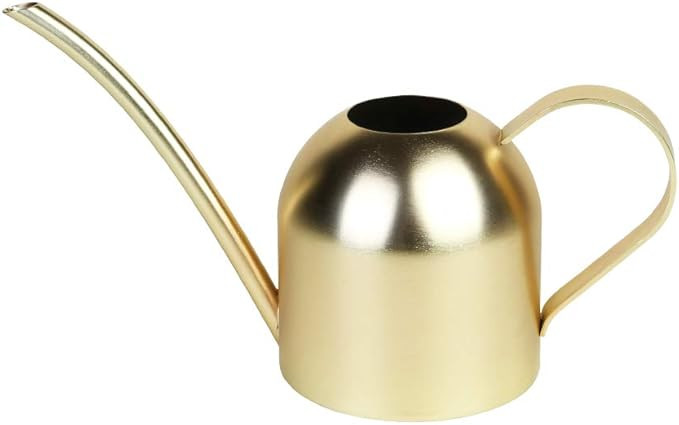 E.Palace Stainless Steel Water Can for Indoor Plants and Garden (Gold 15 oz) | Amazon (US)