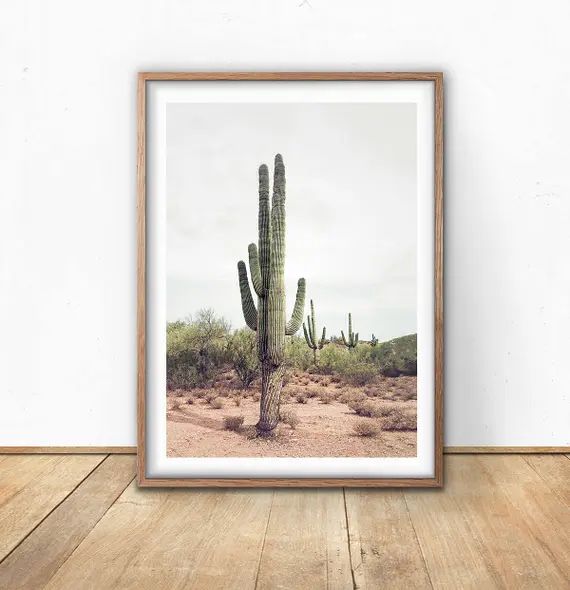 Cactus, Digital Prints, Wall Art, Digital Download, Printable, Photography, Bohemian, Home Decor,... | Etsy (US)