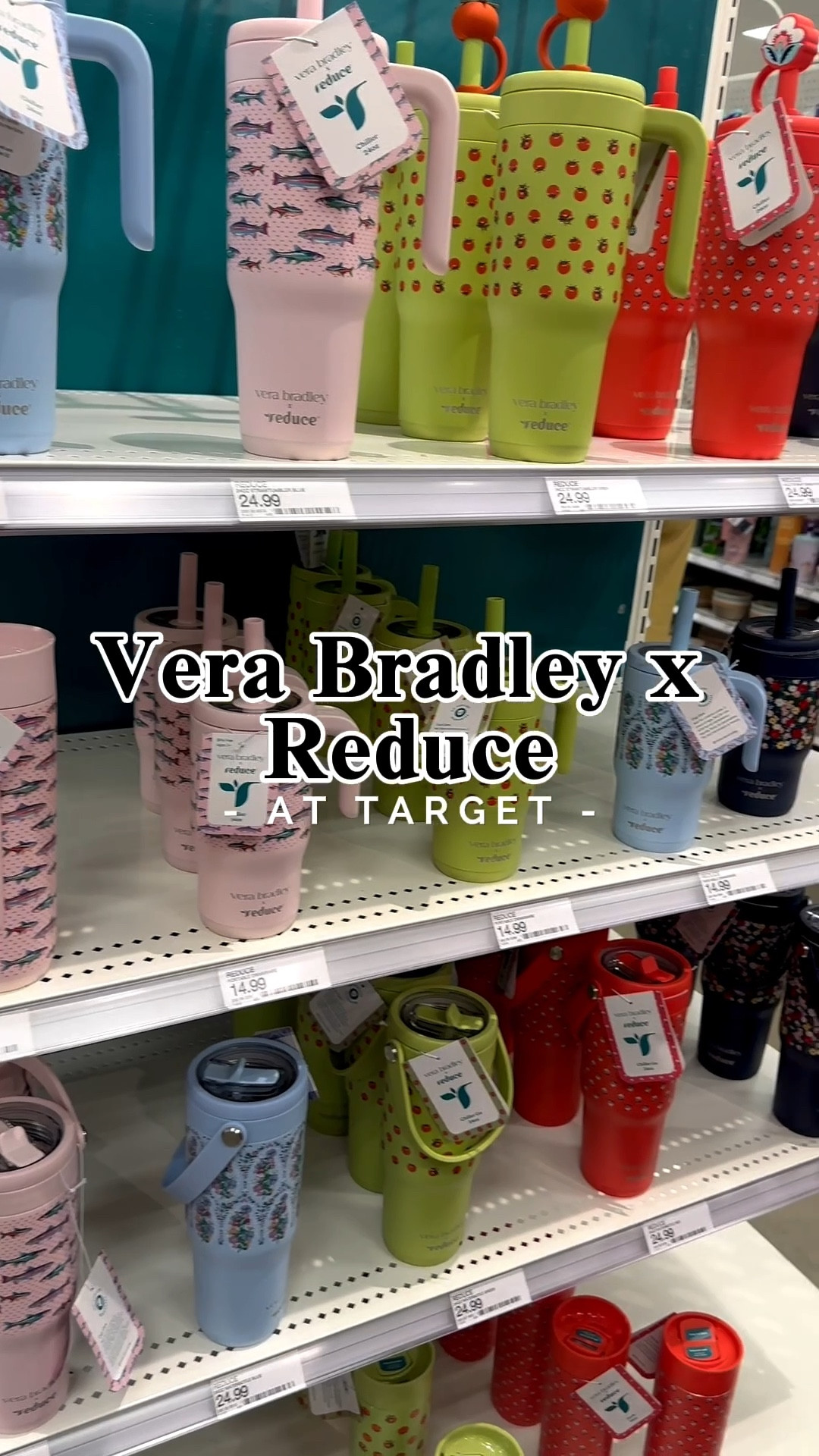 🩷 New Vera Bradley x Reduce tumblers at Target! 


#LTKSeasonal #LTKselfcare #LTKHome